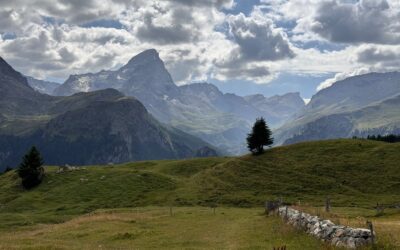 Bedürfnisorientierte Erziehung: 3 Erziehungsmythen, die du loslassen kannst